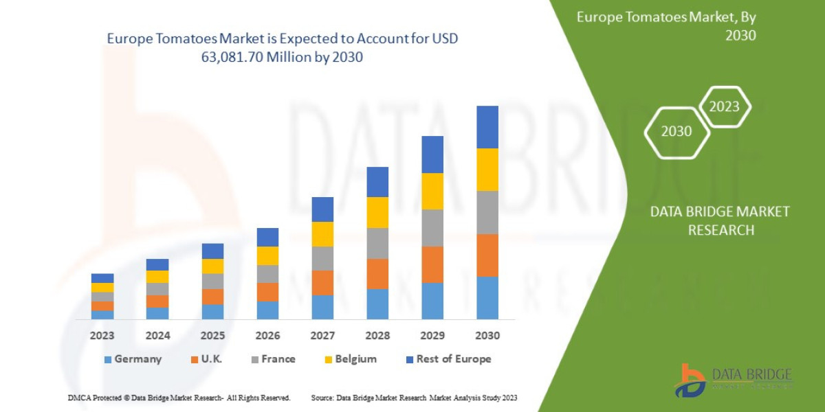 Ripening Opportunities: Europe Tomatoes Market to Witness Robust Demand and Innovation