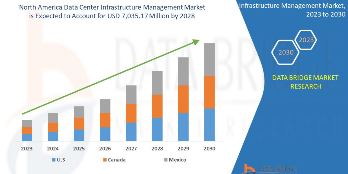 North America DCIM Market Surges with Rising Focus on Energy-Efficient Data Centers