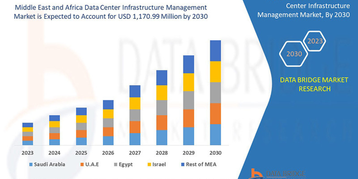 Data Center Boom: Middle East and Africa Data Center Infrastructure Management Market Accelerates Digital Evolution