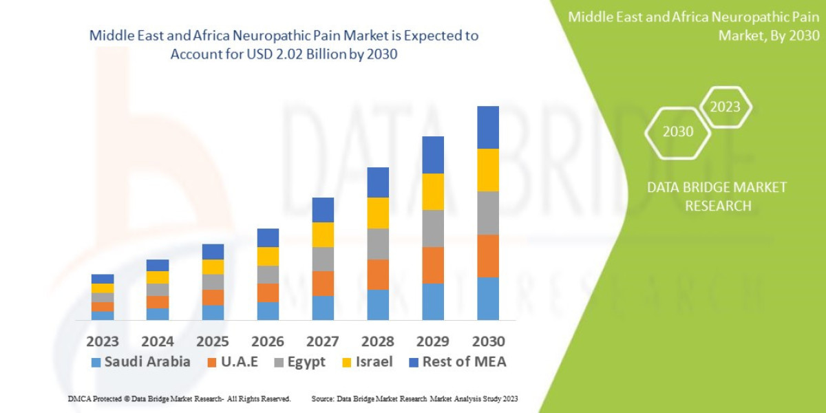 Pain Management Breakthroughs: Middle East and Africa Neuropathic Pain Market Sees Growing Innovation
