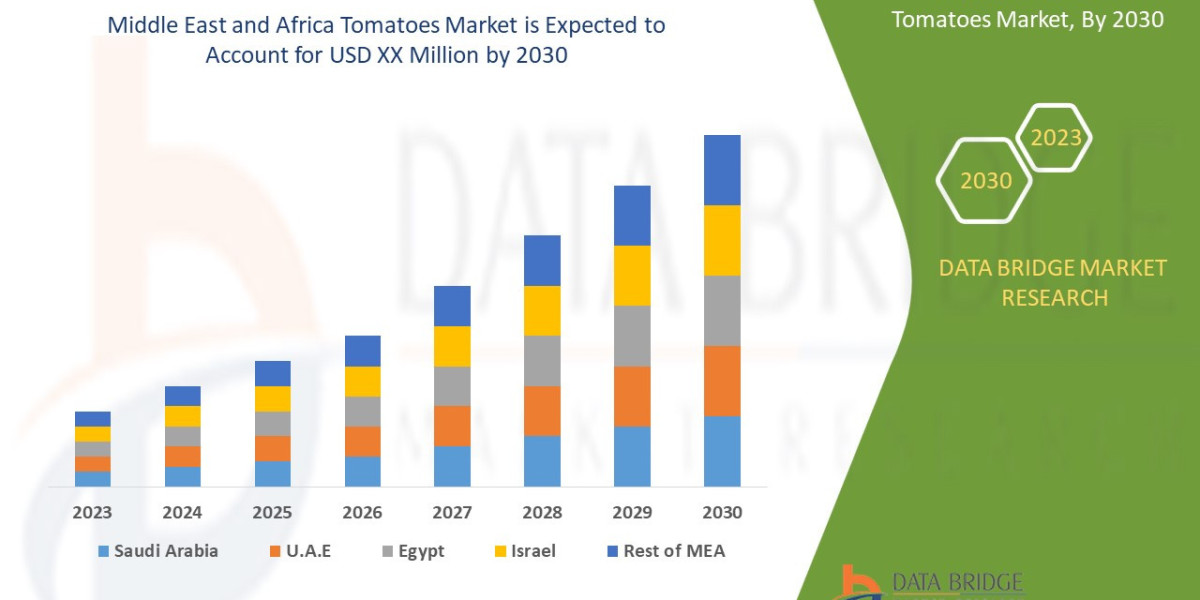 Middle East and Africa Tomatoes Market Flourishes with Growing Demand for Processed Foods