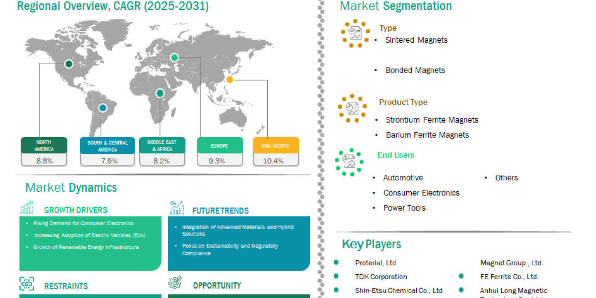Ferrite Permanent Magnet Market  -Competitive Landscape Reporting