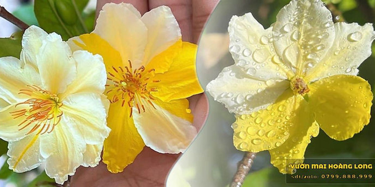 Tưới nước đúng cách