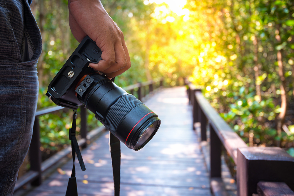 The Basics of Camera Lenses - Photography Talk