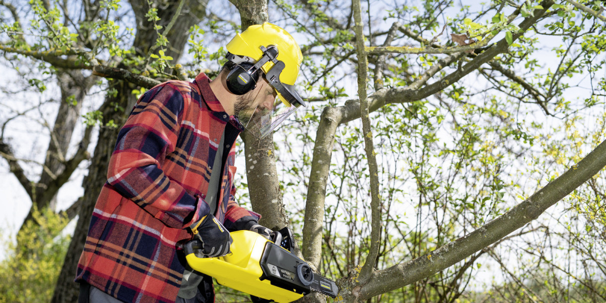 Bronx Tree Company Guide to Storm Damage Cleanup