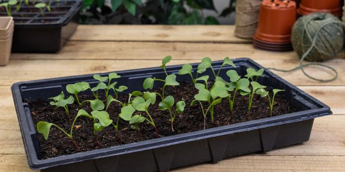 Bottom Watering Trays